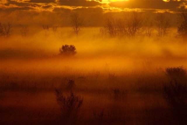 Copy of FoggySRfall 018