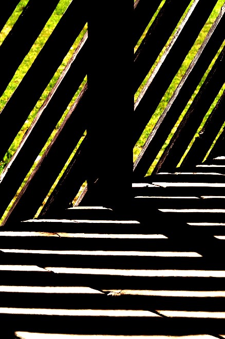 BARN LINES2 AS