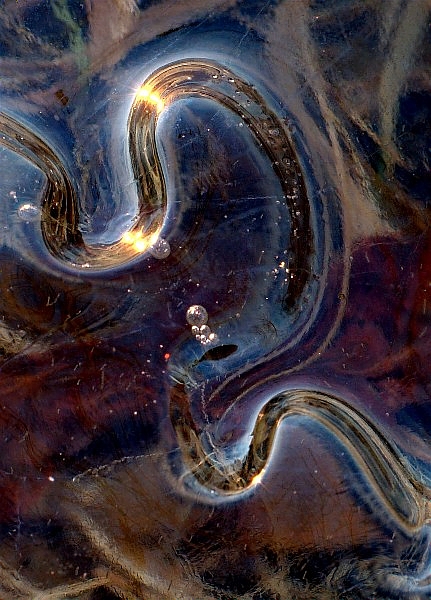 Copy of BongSrDec 074bbc