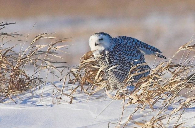 14Copy of DSC_9035-01