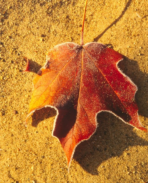 SlidesWaterWinterFall 036