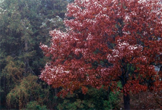 SlidesWaterWinterFall 039