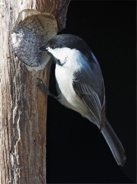 xxcCopy of DSC_5124-01