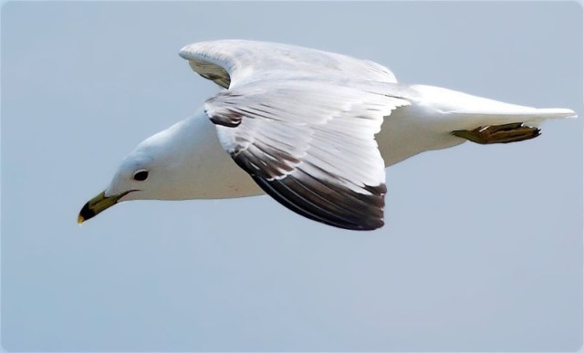 Copy of DSC_1950-01blog