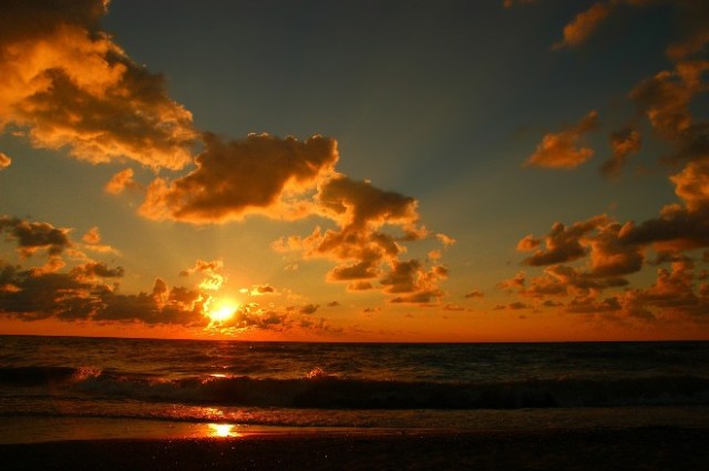 SummerSRLMichiganKenoshaWayneNelson