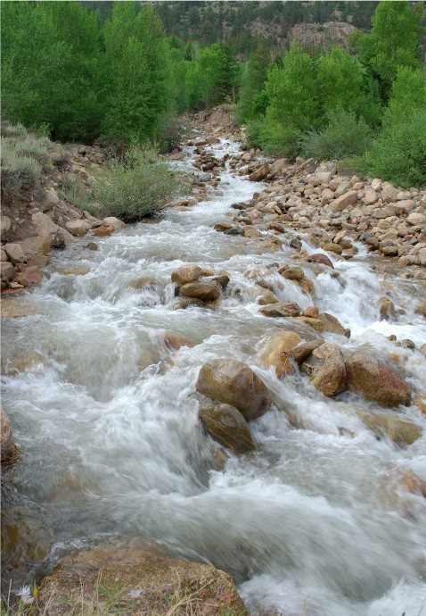 2FtCollinsCanyon 032