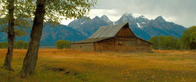 Copy of Copy of DSC_0384bAnd2more