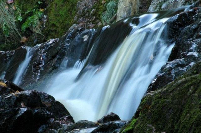 zzzzzzzzzzzzzzzzzDSC_0032