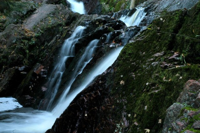 zzzzzzzzzzzzzzzzzzDSC_0039