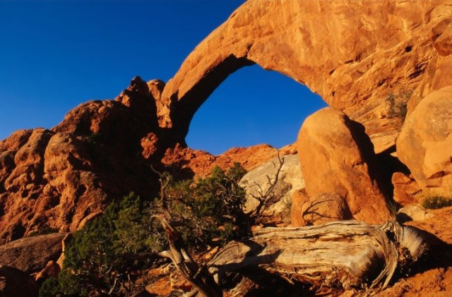 Copy of lifeDSC_6753bb