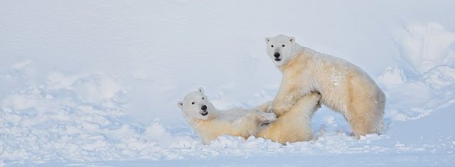 1240490_696810697013991_1226350160_n