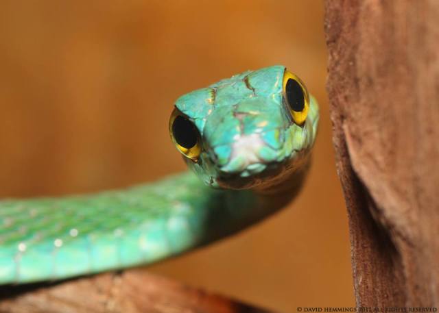 1470195_10202162593002784_1254526316_n