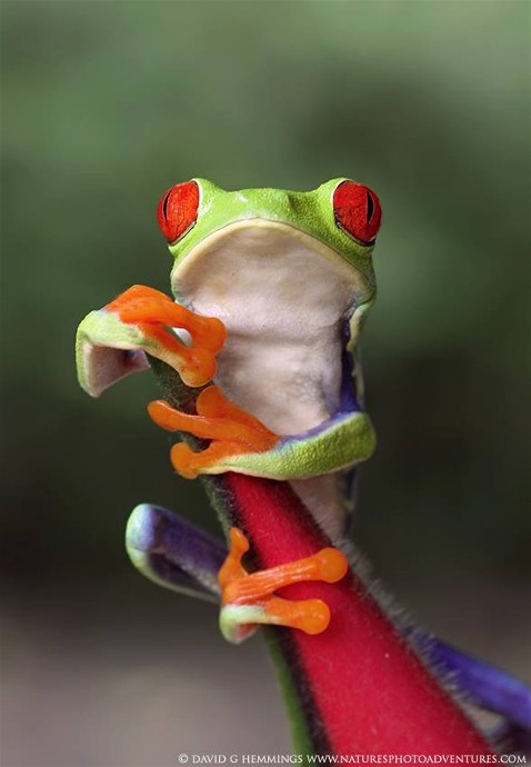 993737_10202149836083869_748993095_n