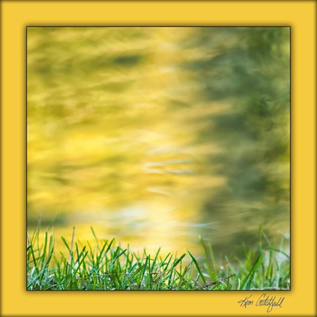 1458434_10202707961002787_1996171445_n