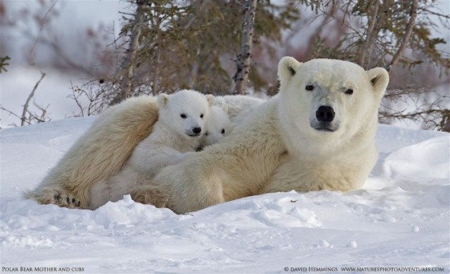 1472085_10202293457754321_1683510868_n