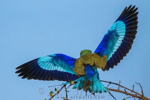 1487843_10202755609159638_389027389_n