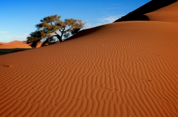 6aphjduncan-george-600x393