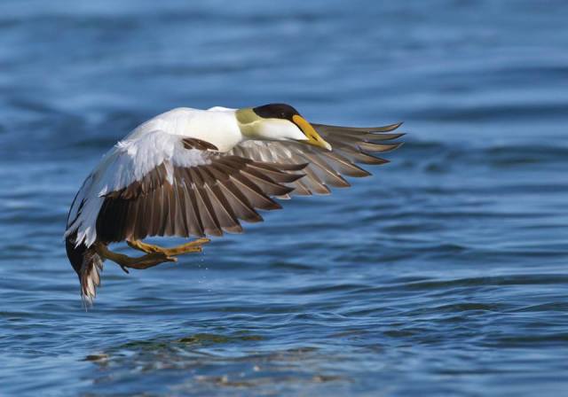 1525686_10202502238933720_1833686891_n