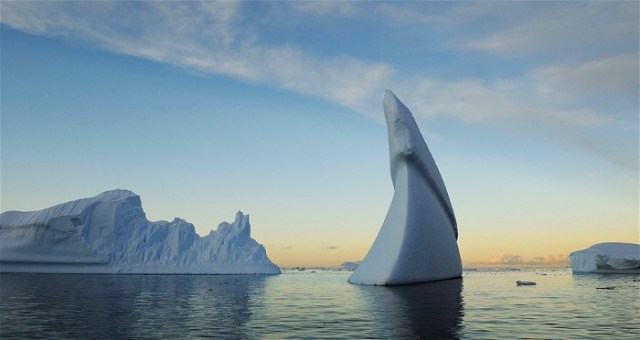 Lindblad Cove, Antarctic Peninsula, Antarctica, 11 January 2011