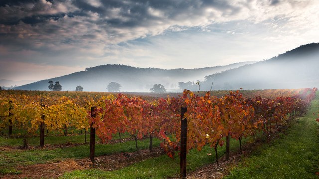 Photo-Critique-And-Advice-Picture-19