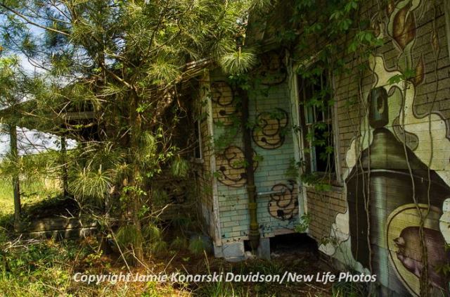 1901225_739767042724765_1048852586_n