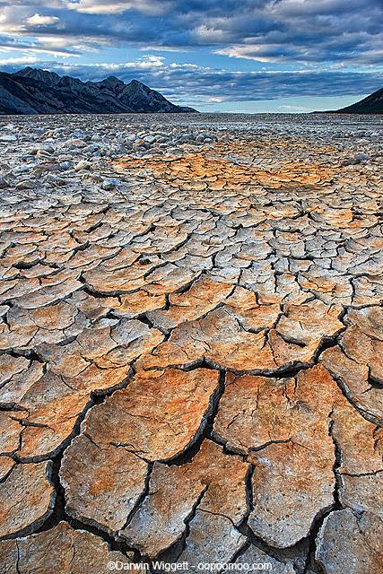 1901238_10202289817420926_1339609051_n