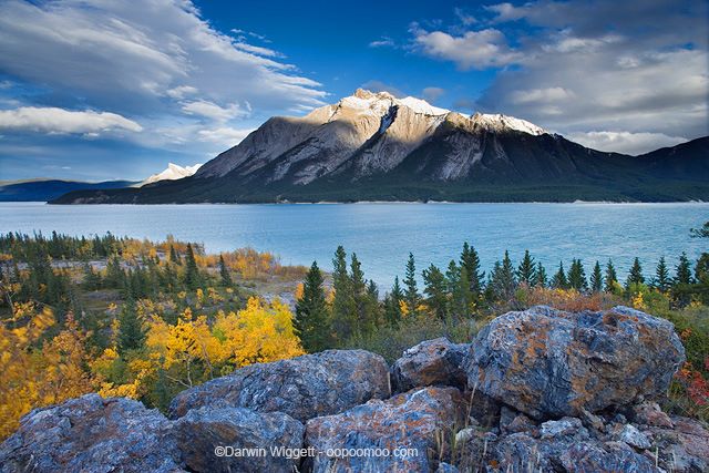 1924739_10202289816620906_136136791_n