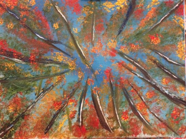 1959434_10202588076095925_210960854_n