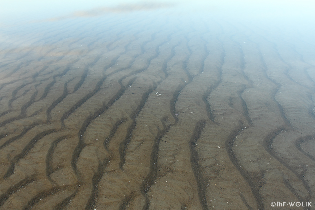 2-tidal-ph-11-img_2601