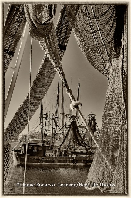 483819_562547460446725_1599683596_n