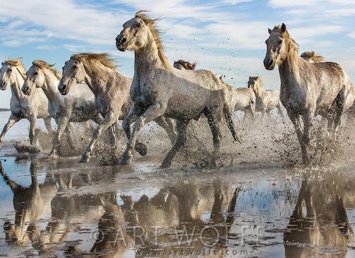 574621_10203100091051470_1132088488_n