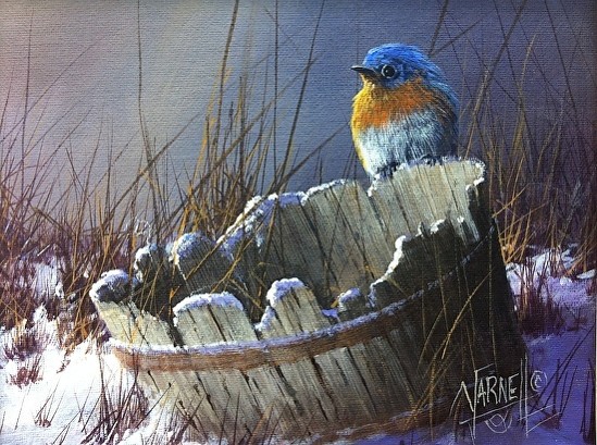bluebird-on-a-bucket