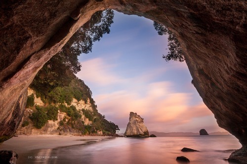 Coromandel_5644-500x331