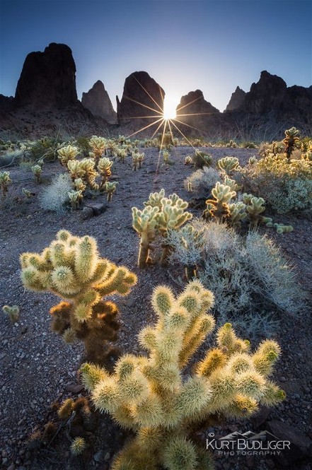 1544309_843886778961344_880239351_n