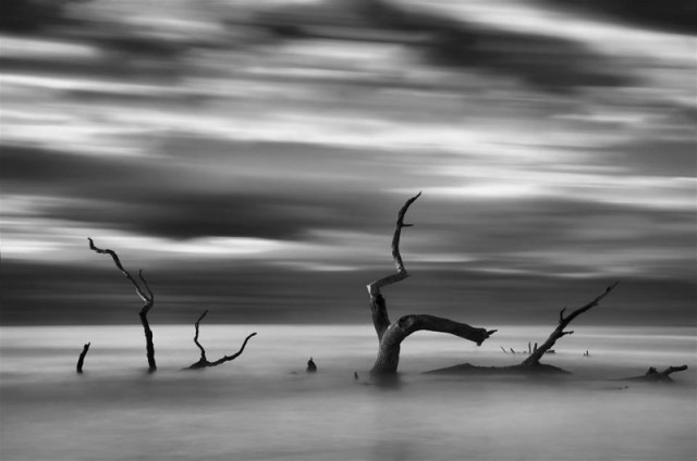 1656040_840650572628545_1565081653_n