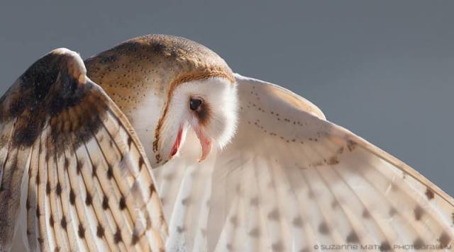 1797609_10202671747730213_2147117342_n