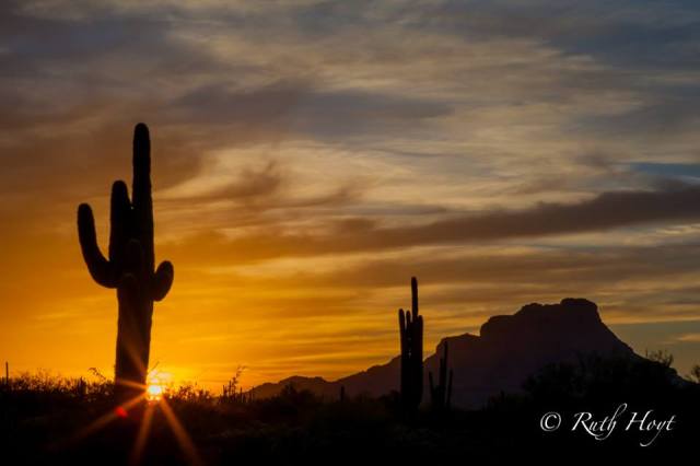 1891009_3902860907589_1573030181_n