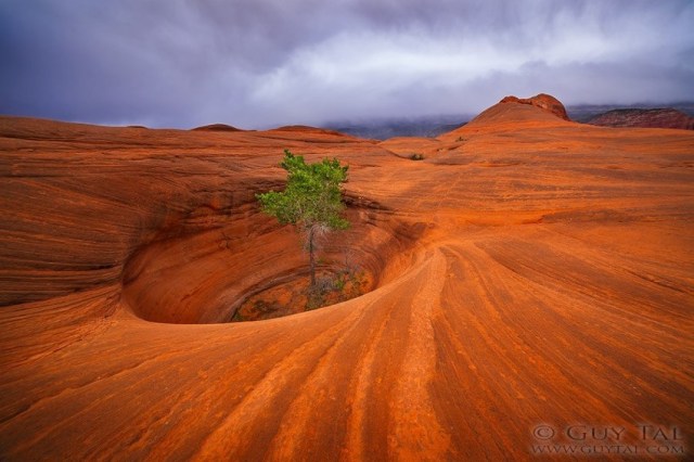 1901404_10152333616389708_2146848027_n