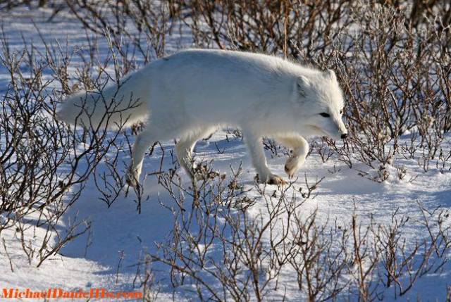 1920256_599529160129413_1058938523_n