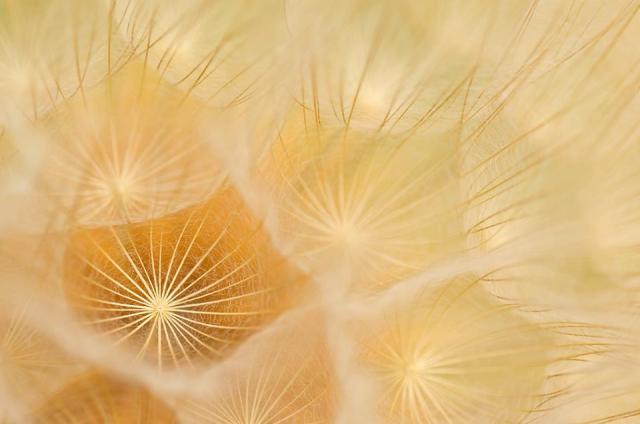 1939865_750057775029025_1090718640_n