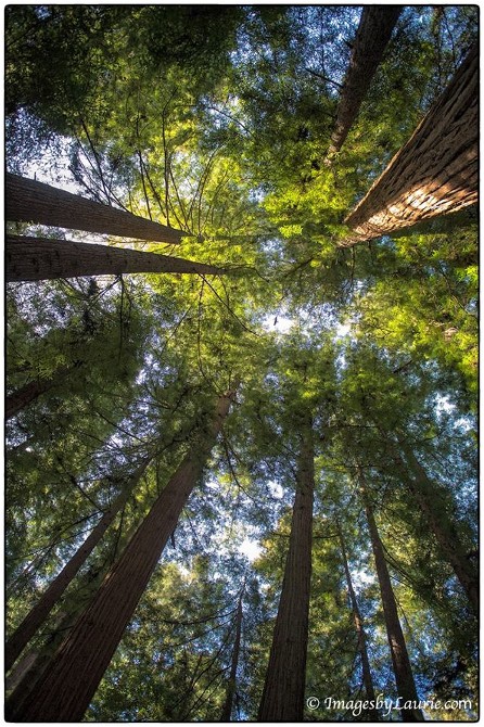 1970462_10201589225234392_521192687_n