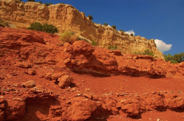 ANatW2Ref 135And2more