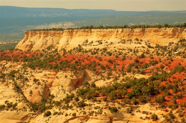 ANatW2Ref 162And2more