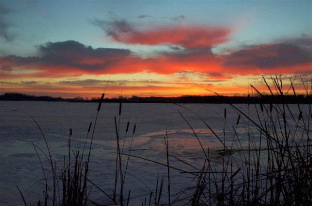 BongSrDec Bright037And2more