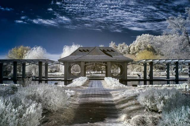 10007463_450133585121386_5066252128000960825_n