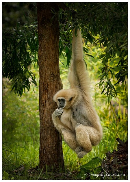 10013515_10201650658570187_50048976_n