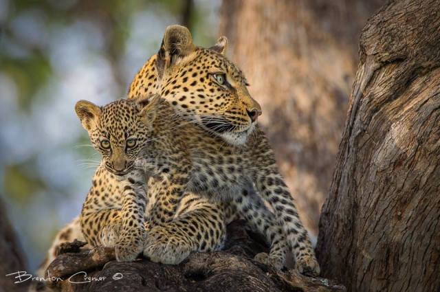 10259743_771361129541213_8676017438216662205_n