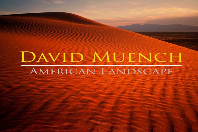 1972426_733880109976485_323564352_n