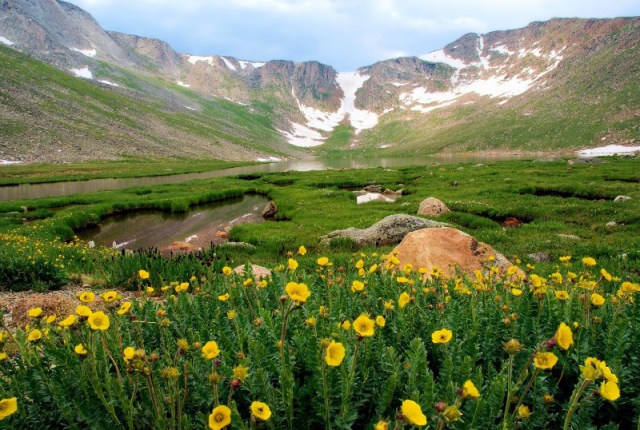 Copy of RMNPMarmMtEvans 176