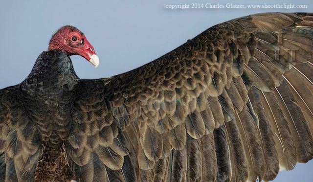 10271566_841314752563584_793999124958565068_n